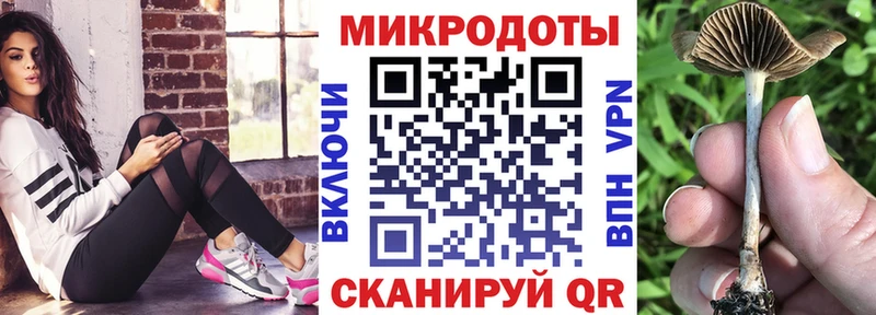 Псилоцибиновые грибы ЛСД blacksprut как войти Новодвинск
