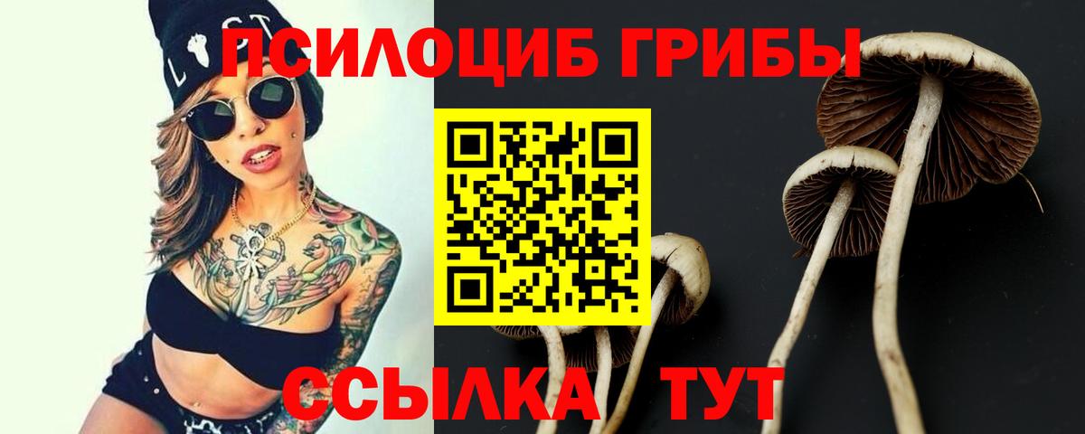 Псилоцибиновые грибы прущие грибы  Вход с VPN  Новодвинск 